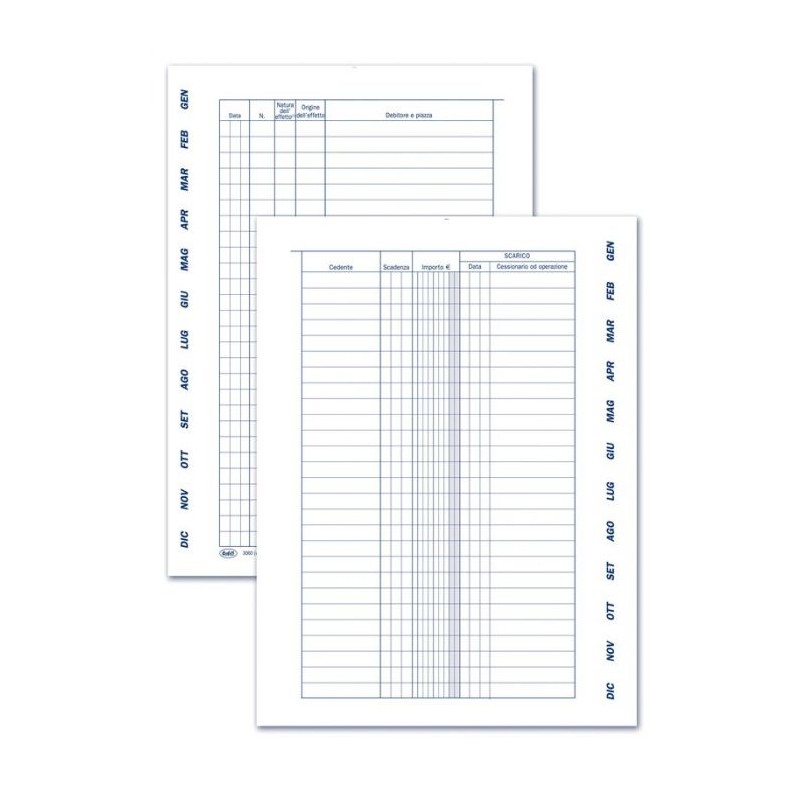 REGISTRO EFFETTI - SCADENZARIO GENNAIO/DICEMBRE PER SOLI EFFETTI ATTIVI - 4 PAGINE PER MESE CON SPIRALE - 24X17 CM